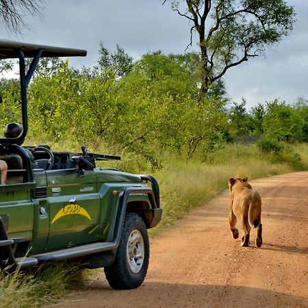 Kruger Safari Lodge wildreservaat Manyeleti Buitenkant foto