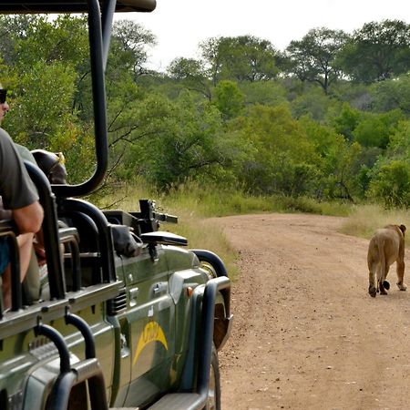 Kruger Safari Lodge wildreservaat Manyeleti Buitenkant foto