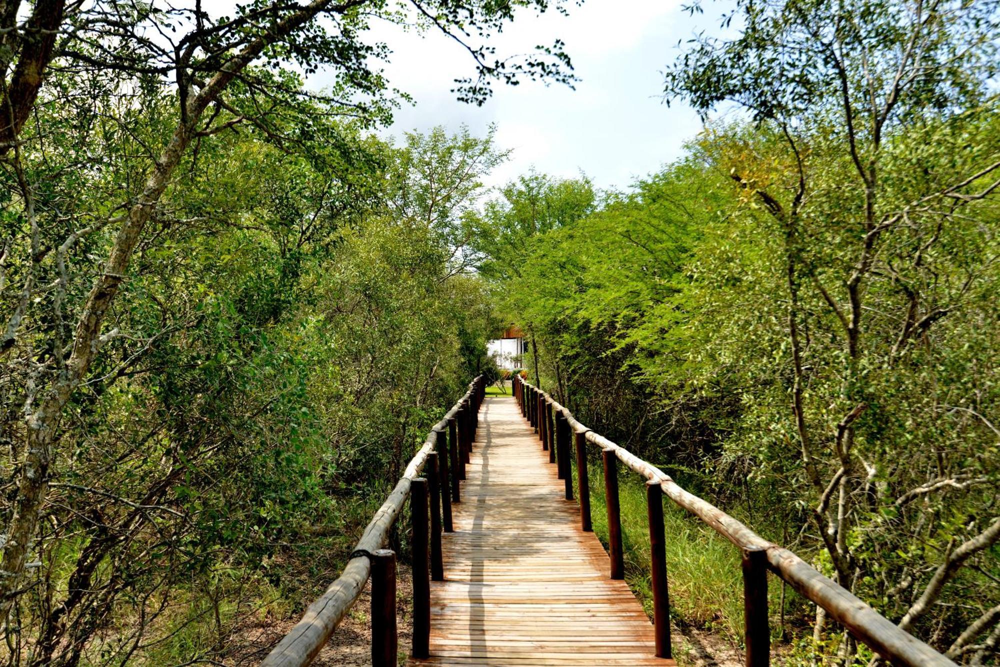 Kruger Safari Lodge wildreservaat Manyeleti Buitenkant foto