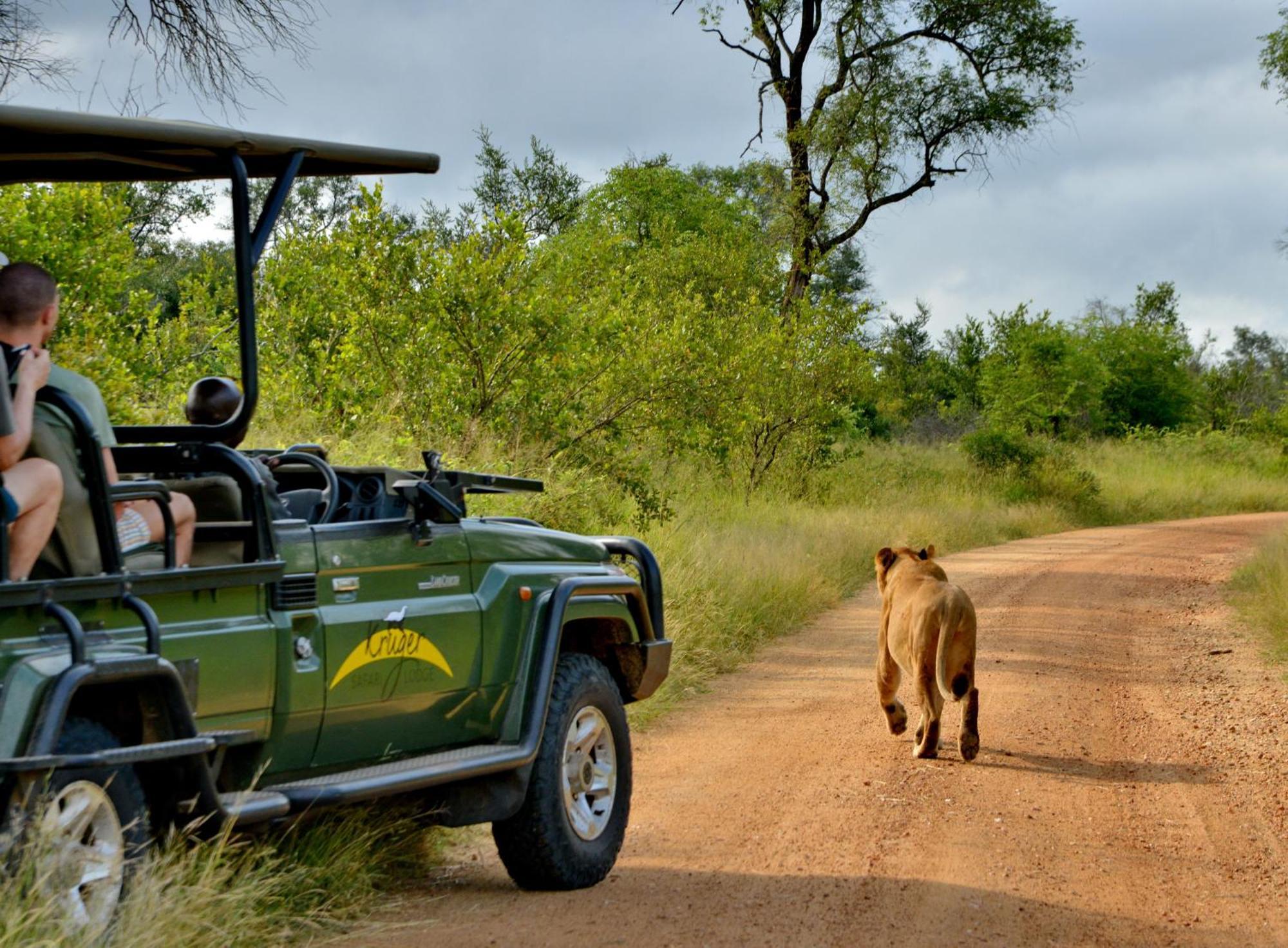 Kruger Safari Lodge wildreservaat Manyeleti Buitenkant foto