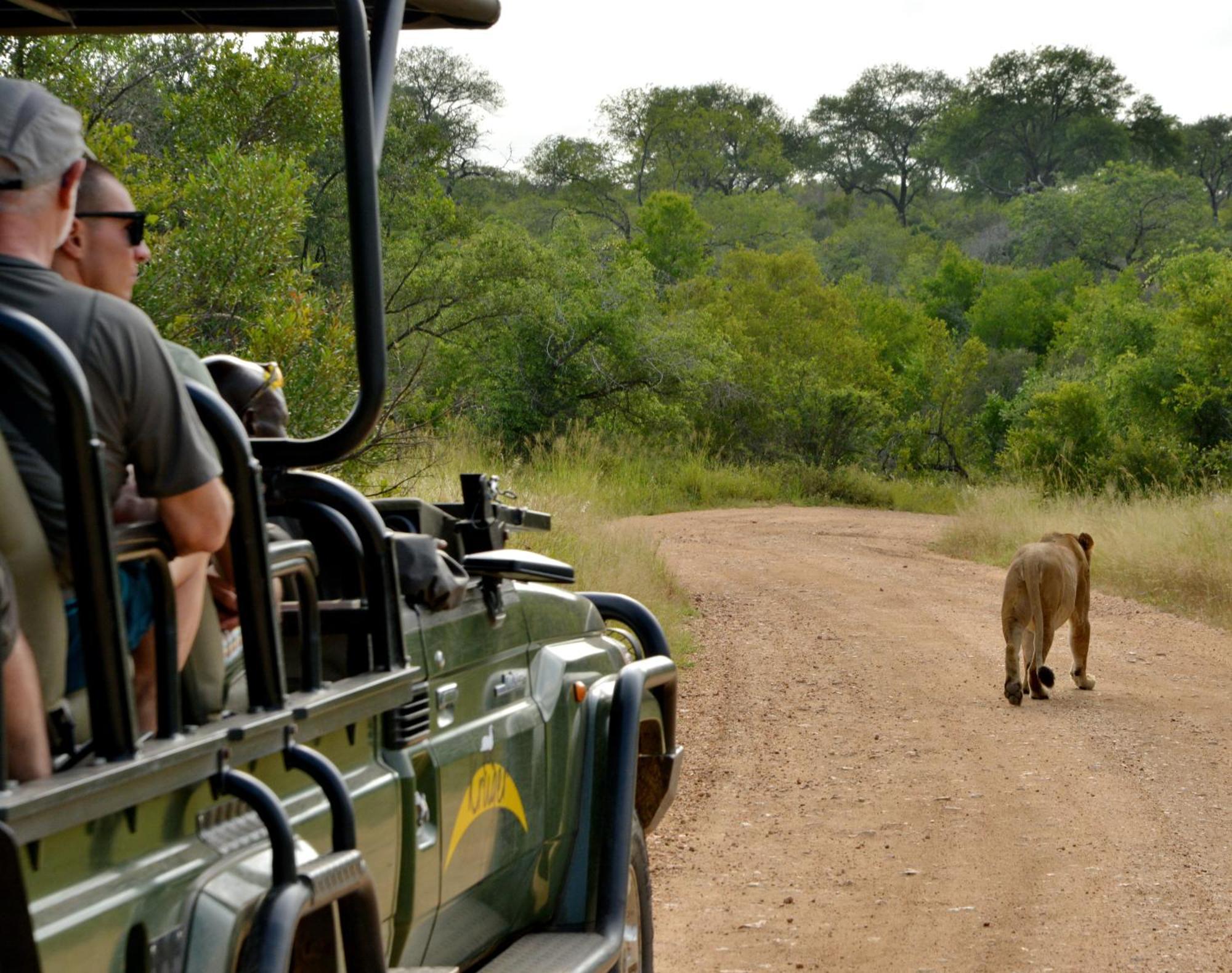 Kruger Safari Lodge wildreservaat Manyeleti Buitenkant foto